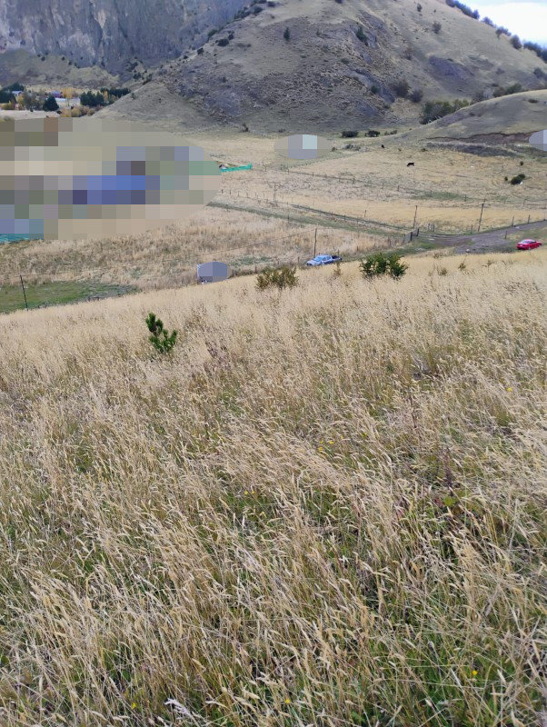 Imagen 14