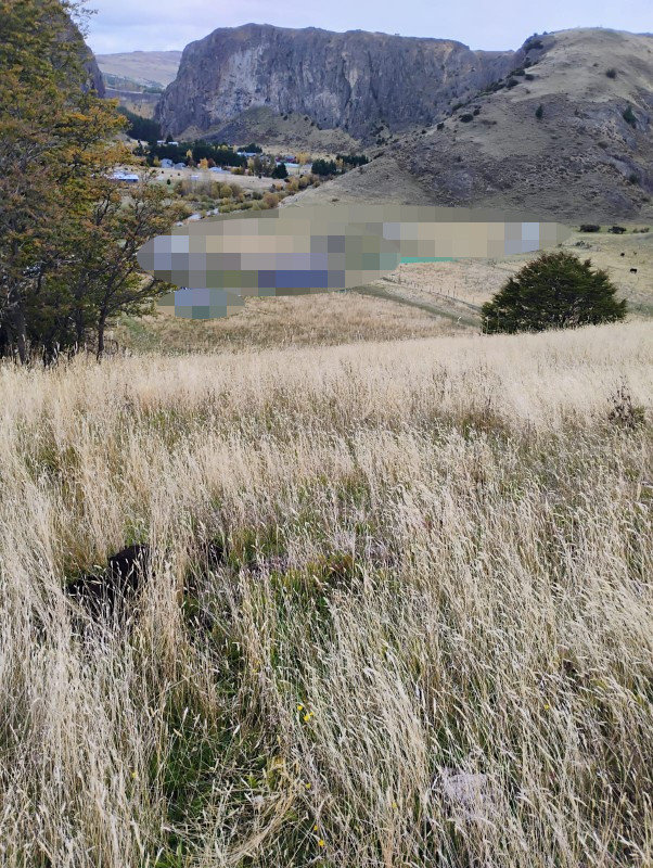 Imagen 8